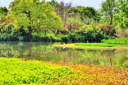 濕地公園規劃論證機構