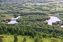 森林公園規劃論證設計公司找沈陽嘉森森林資產價格評估公司