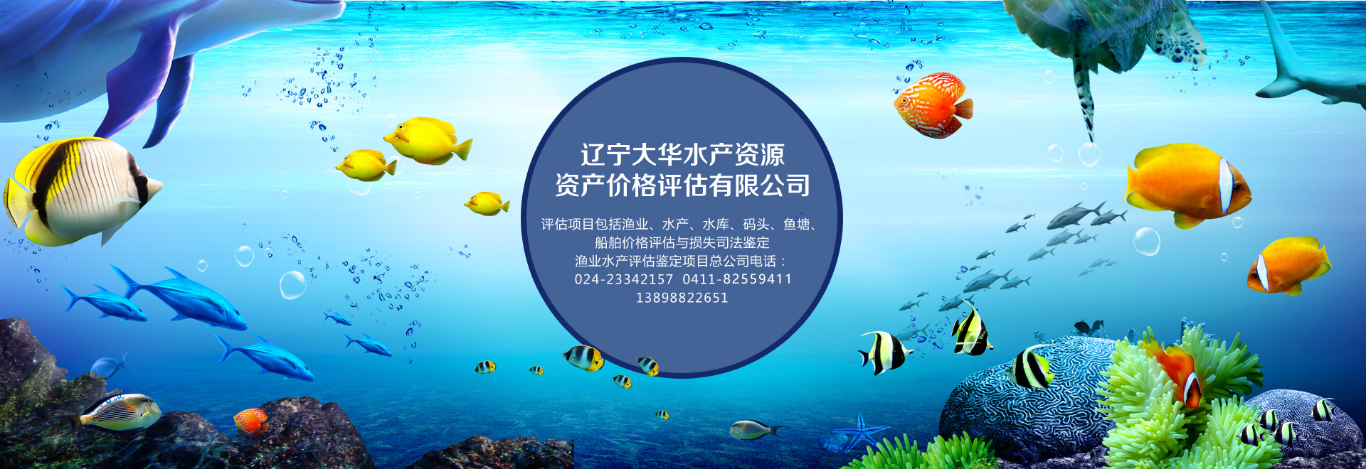 船舶價格星空平台app官方下载