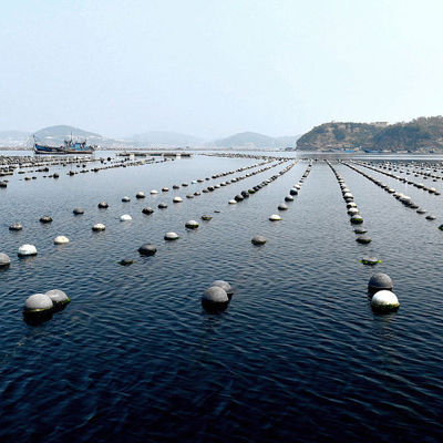 海洋價(jia) 格星空平台app官方下载