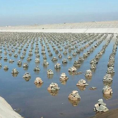 海洋價(jia) 格星空平台app官方下载